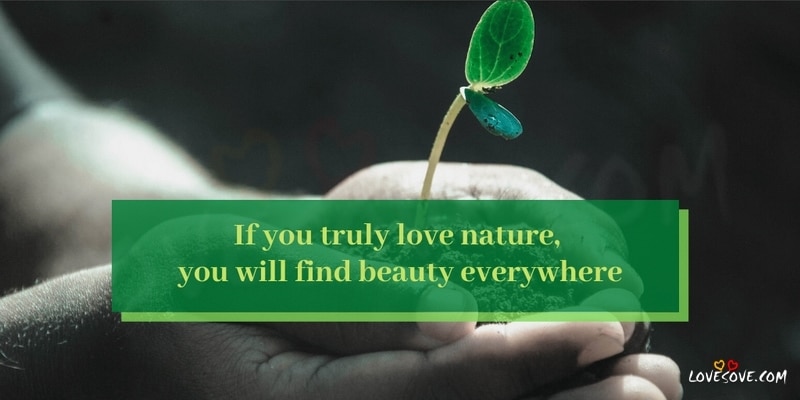 best earth day quotes and status, save the earth quotes, earth day quotes and status, if you truly love nature you will find beauty everywhere lovesove