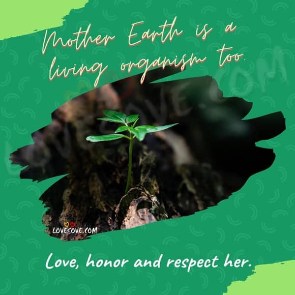 best earth day quotes and status, save the earth quotes, earth day quotes and status, mother earth is a living lovesove