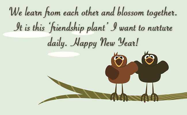 We Learn From Each Other And Blossom Together, , happy new year message sample lovesove