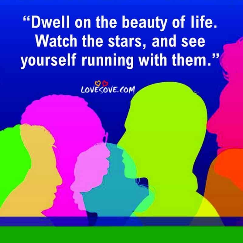 Dwell on the beauty of life