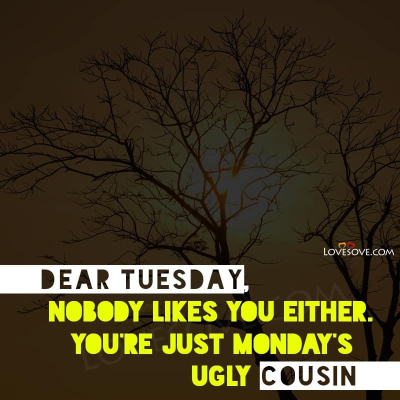 Dear Tuesday, Nobody Likes You, , dear tuesday nobody likes lovesove