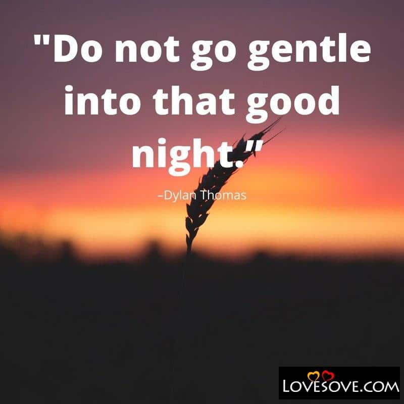 Do not go gentle into that good night, , good night status lines lovesove