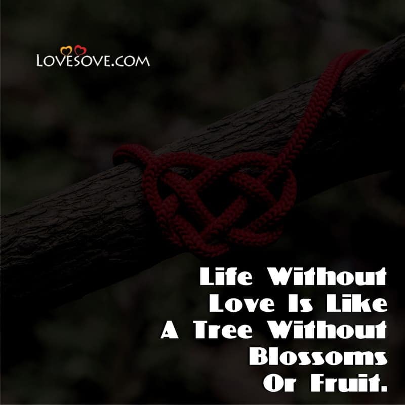 Life without love is like a tree without blossoms