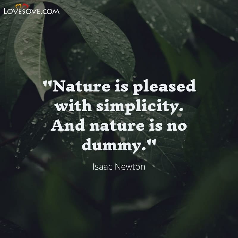 Nature is pleased with simplicity, , nature quotes lovesove