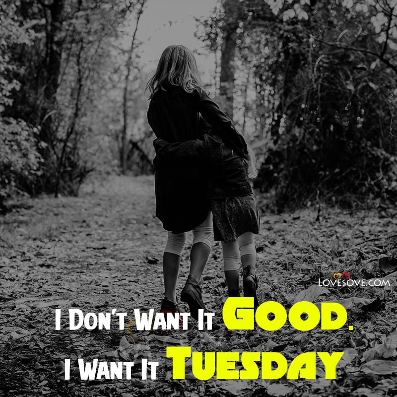 Best Tuesday Status, Latest Tuesday Quotes, Thoughts Images
