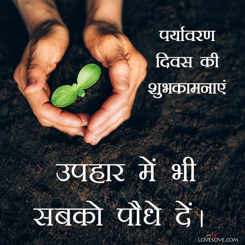 june 5 world environment day quotes, world environment day quotes in english, world environment day funny quotes, 5th june world environment day quotes, beautiful quotes on world environment day, best quotes about world environment day, best quotes on world environment day, motivational quotes on world environment day quotes on world environment day in hindi