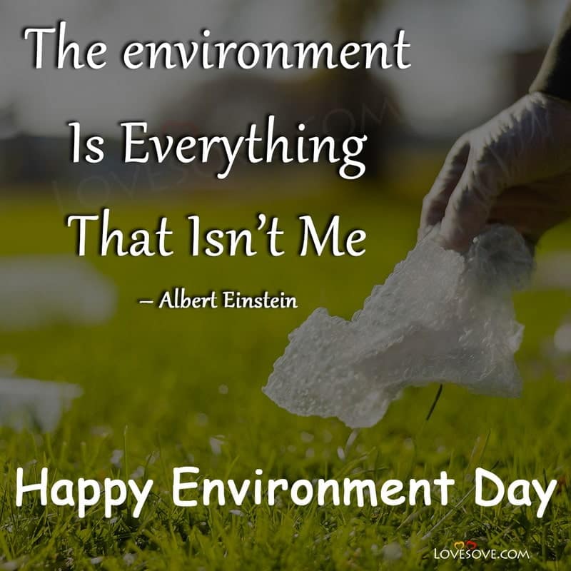 motivational quotes on world environment day quotes on world environment day in hindi, world environment day quotes and images, world environment day quotes and pictures, world environment day images with quotes download, quotes regarding world environment day, inspirational world environment day slogans and quotes, world environment day quotes to inspire you, environment day wishes, environment day wishes images