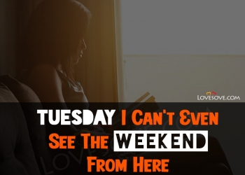 Dear Tuesday, Nobody Likes You, , tuesday i cant see the tuesday quotes lovesove