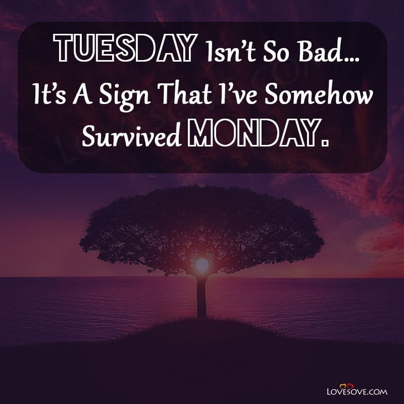 Tuesday Status Quotes, Funny Tuesday Facebook Status, Super Tuesday Status, Tuesday Status, Happy Tuesday Status, Happy Tuesday Whatsapp Status, Tuesday Motivation Status, Tuesday Quotes For Facebook Status, Tuesday Morning Status, Tuesday Fb Status, Tuesday Good Morning Status, Tuesday Status For Whatsapp, Tuesday Funny Status, Status For Tuesday, Tuesday Whatsapp Status, Tuesday Status God, Status About Tuesday, Happy Tuesday Status Download, Tuesday Love Status, Tuesday Hindi Status, Tuesday Special Whatsapp Status, Tuesday Status Images, Tuesday Marathi Status, Best Tuesday Status, Tuesday Quote For Whatsapp Status, Tuesday Ganesh Status, Tuesday Status For Facebook, Good Morning Tuesday Whatsapp Status, Tuesday Status Download, Tuesday God Whatsapp Status, Ruby Tuesday Application Status, Tuesday Special Status
