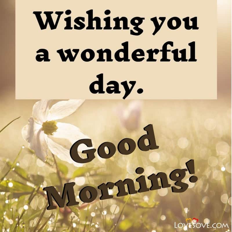 Wishing you a wonderful day, , wishing you happy morning status lovesove