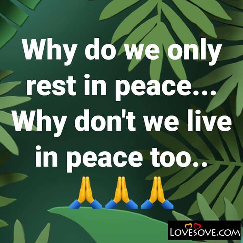 Why do we only rest in peace, , why do we only rest in peace lovesove