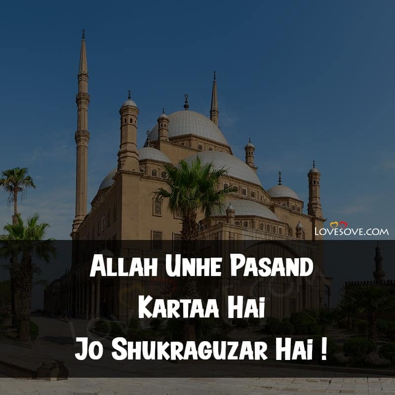 Allah status, Insha allah status, Allah status images, Allah status for whatsapp in hindi, Believe in allah status, Allah status in hindi, Allah status in urdu, Allah status video, Allah status hindi Allah status in english, Allah status for whatsapp, Ya allah status, Shukran allah status, Best allah status, Rasool allah status, Pray to allah status, About allah status,