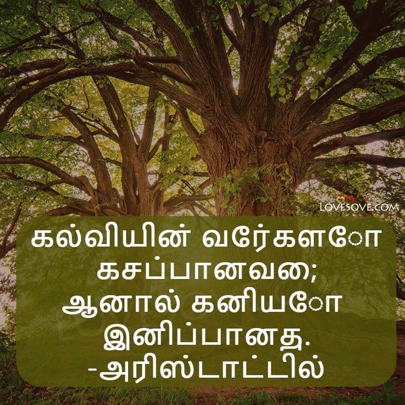 latest tamil status, best tamil thoughts, images, best tamil thoughts, best tamil quotes status images lovesove