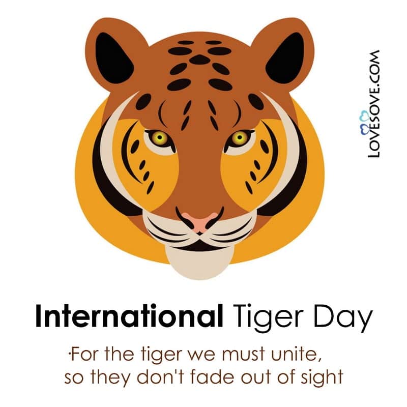 international day of tiger, international tiger day information, about international tiger day, quotes on international tiger day, what is international tiger day, international tiger day message, slogan for international tiger day, international tiger day 29 july