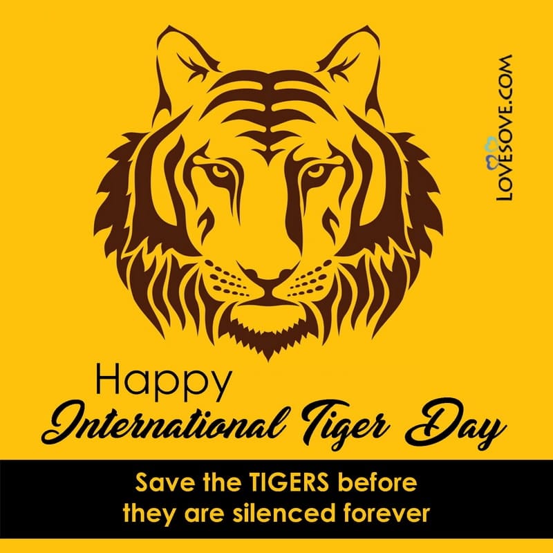 international tiger day, international tiger day slogan wishes, international tiger day quotes, international day of tiger, international tiger day 2020, international tiger day slogan images
