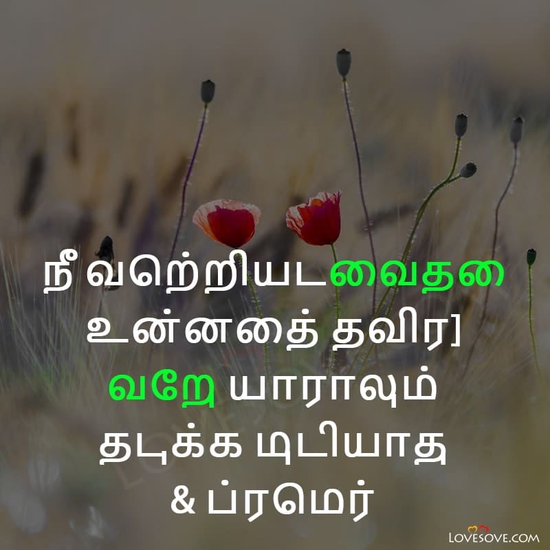 self confidence tamil motivational quotes, tamil motivational quotes wallpapers, tamil motivational quotes for success, tamil motivational quotes with images,