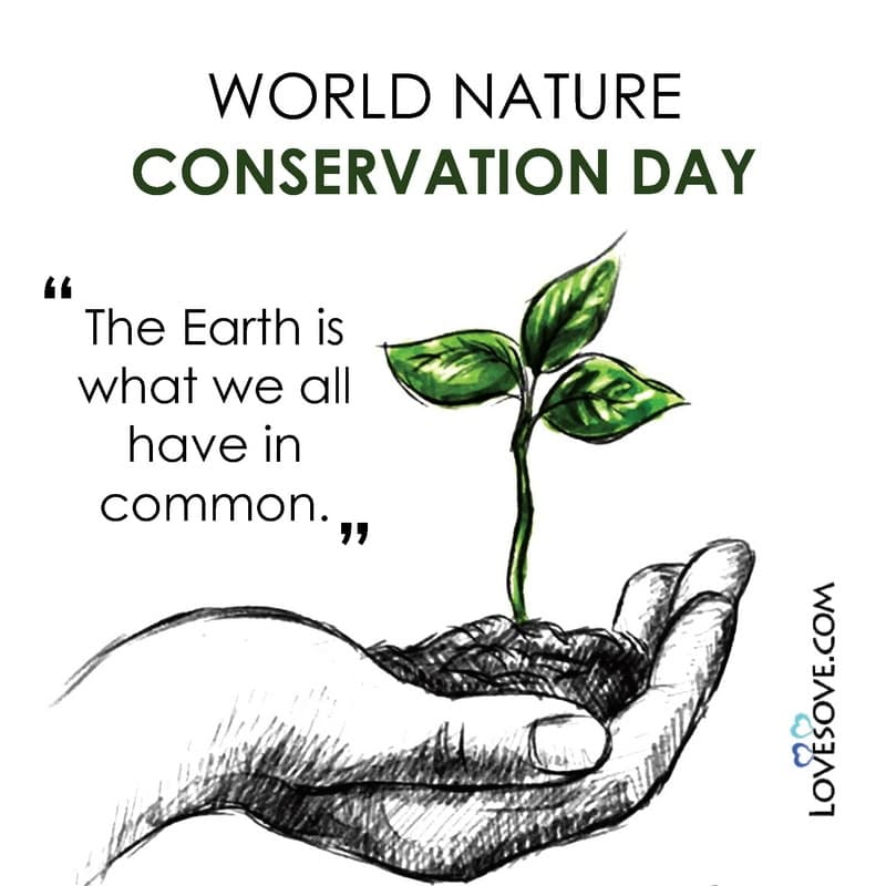 what is world nature conservation day, slogan on world nature conservation day, july 28 world nature conservation day, world nature conservation day 2020 theme, world nature conservation day activities, world nature conservation day quotes,