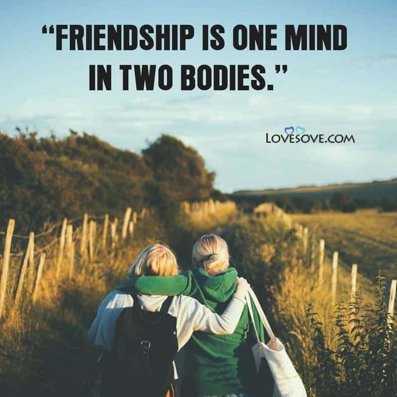 friendship is one mind in two bodies