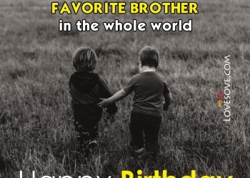 Happy Birthday Status & Quotes For Brother, Brother Birthday Wishes, Birthday Quotes For Brother, birthday status for best brother lovesove
