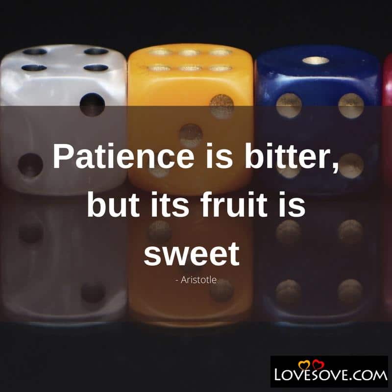 Patience Is Everything Quotes, Patience Related Quotes, Patience Quotes For Him, Patience Quotes About Relationships, Keep Patience Quotes, Patience Quotes For Life,