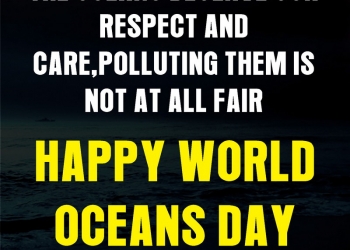 happy world ocean day quotes, status, images, theme & facts, world ocean day status, quotes on ocean day lovesove
