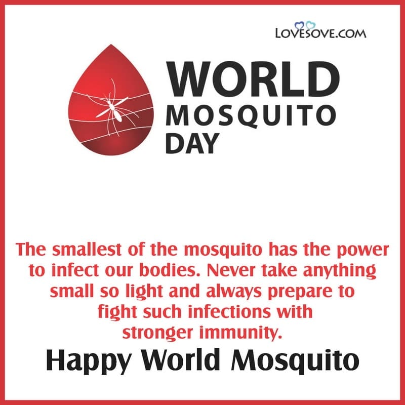World Mosquito Day Quotes, Status, Images & Wishes