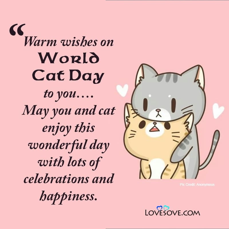 international cat day wishes, world cat day quotes & slogans, august 8 is international cat day, inspirational cat quotes images