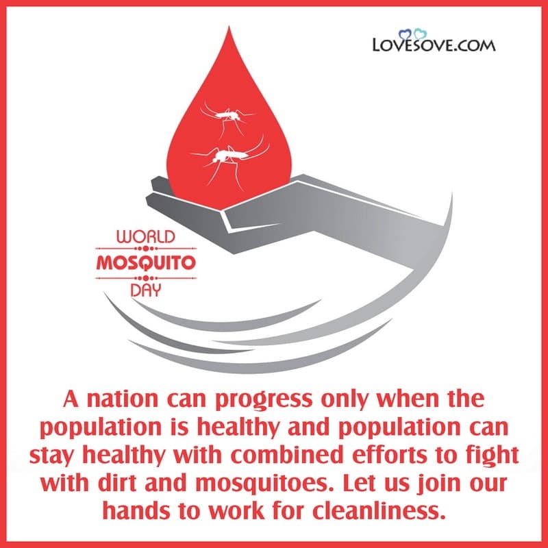 World Mosquito Day Quotes, Mosquito Status Images, Happy Mosquito Day Wishes & Best Lines, Mosquito Slogan, Mosquito Quotes, Mosquito Status Images, Mosquito Day Wishes, Mosquito Day Best Lines, Mosquito Slogan & Caption, Mosquito Quotes