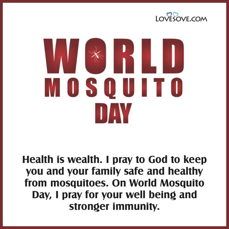 world mosquito day quotes, mosquito status images, happy mosquito day wishes & best lines, mosquito slogan, mosquito quotes, mosquito status images, mosquito day wishes, mosquito day best lines, mosquito slogan & caption, mosquito quotes