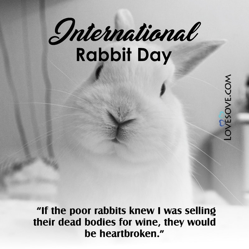 international rabbit day lines, international rabbit day image, international rabbit day wishes, international rabbit day wallpapers,