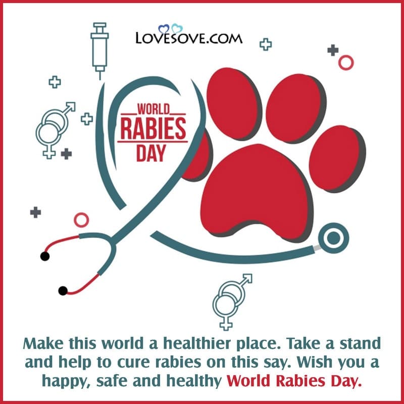 28th september world rabies day, slogan for world rabies day, theme of world rabies day, thought on world rabies day, world rabies day quotes, world rabies day status, rabies day lines,