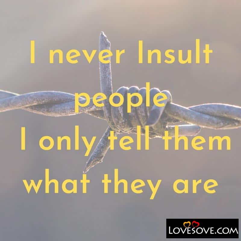 I never insult people i only tell them