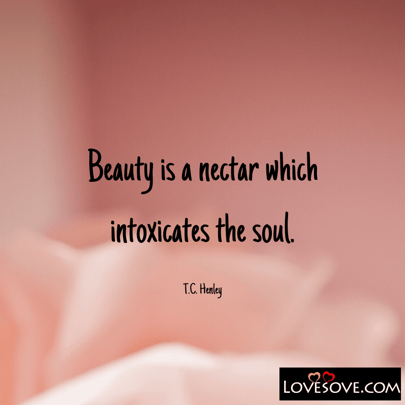 Beauty is a nectar which intoxicates, , be nice quotes images lovesove