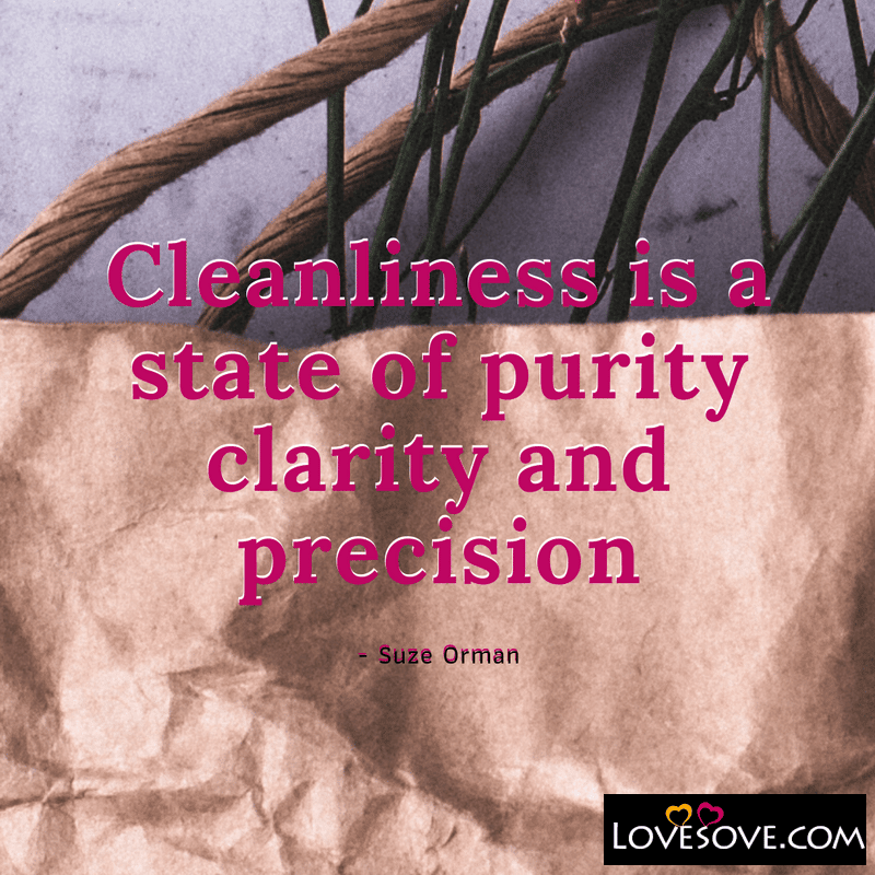 Cleanliness is a state of purity clarity