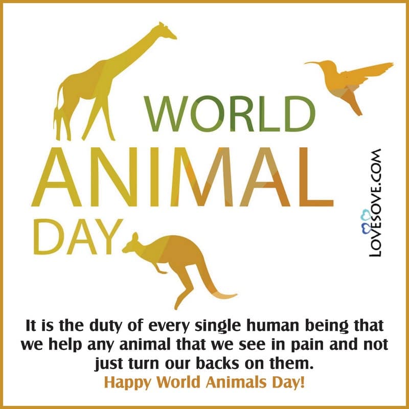 Happy World Animal Day Quotes, Wishes, Thoughts & Status