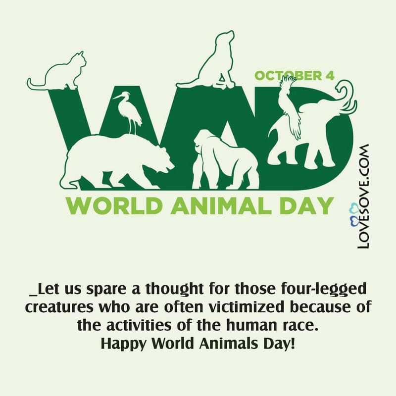 world animal day facts, world animal day captions, world animal day hd images, world animal day wallpaper, happy world animal day images, world animal day quotes,