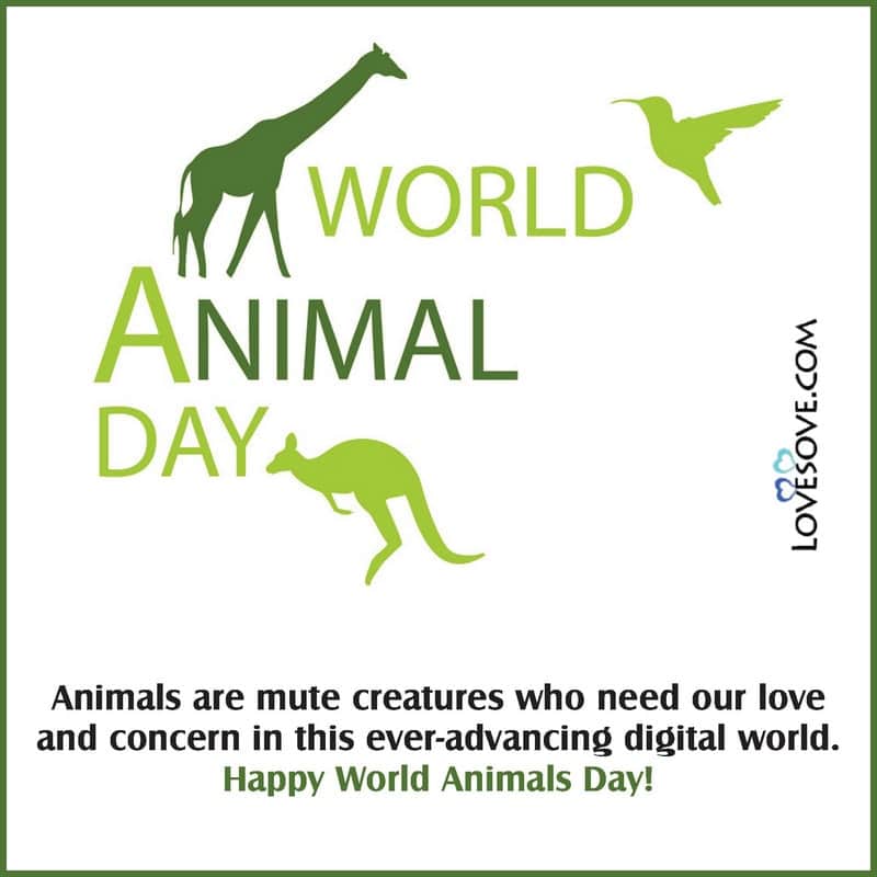 world animal welfare day quotes, quotes about world animal day, world animal day 2020 quotes, world animal day funny quotes, world animal day status,