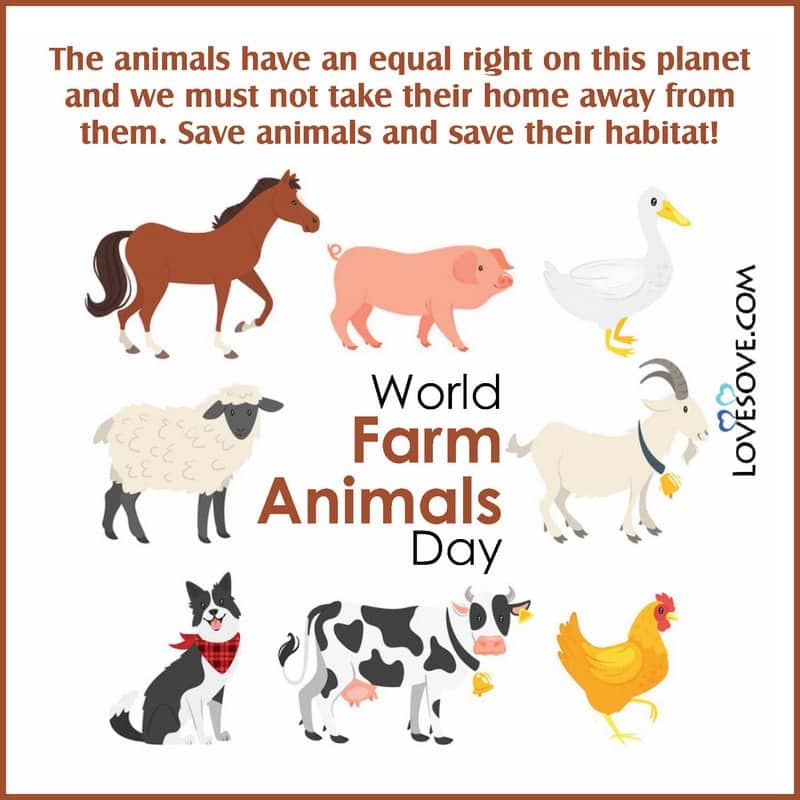 World Farm Animals Day Quotes, Status, Messages, Wishes & Theme