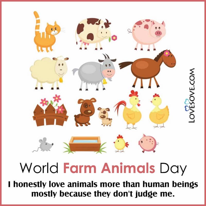 world farm animals day 2020 poster, ideas for world farm animals day, world farm animals day hd images, world farm animals day caption, world farm animals day cards, world farm animals day 2020 theme, world farm animals day 2 october,