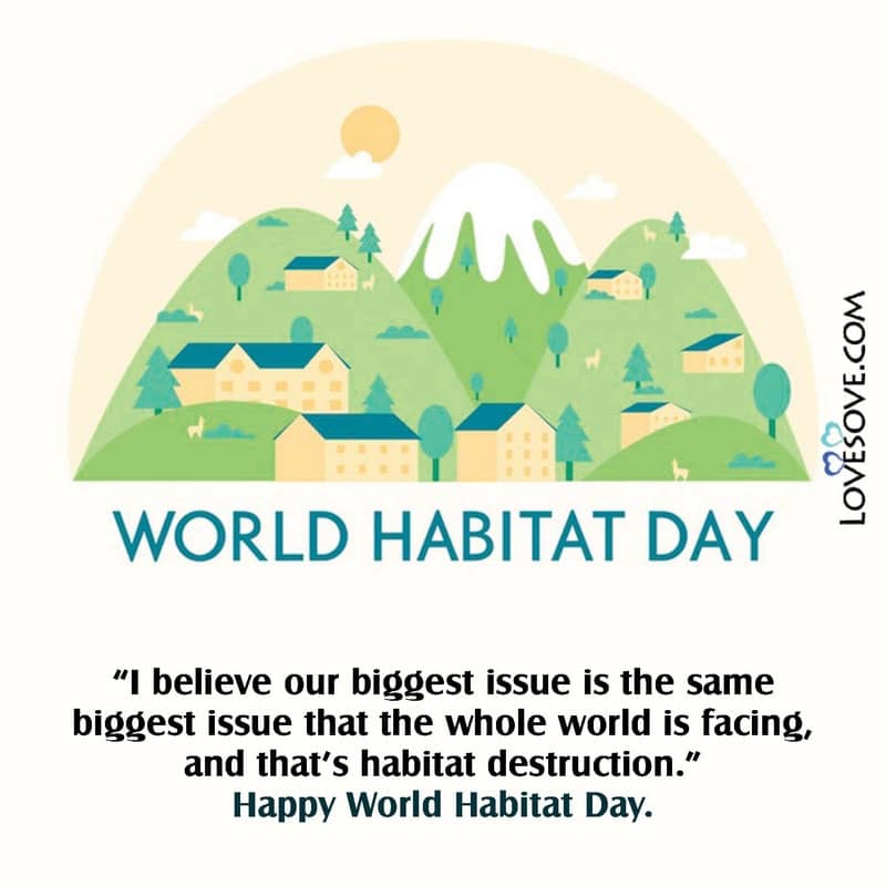 world habitat day motivational status, world habitat day inspirational thoughts, world habitat day greeting cards, world habitat day wishes images, world habitat day wishes in english,