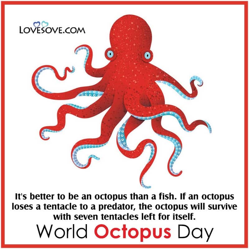 happy world octopus day images, world octopus day theme 2020, world octopus day quotes, happy world octopus day quotes, world octopus day status,