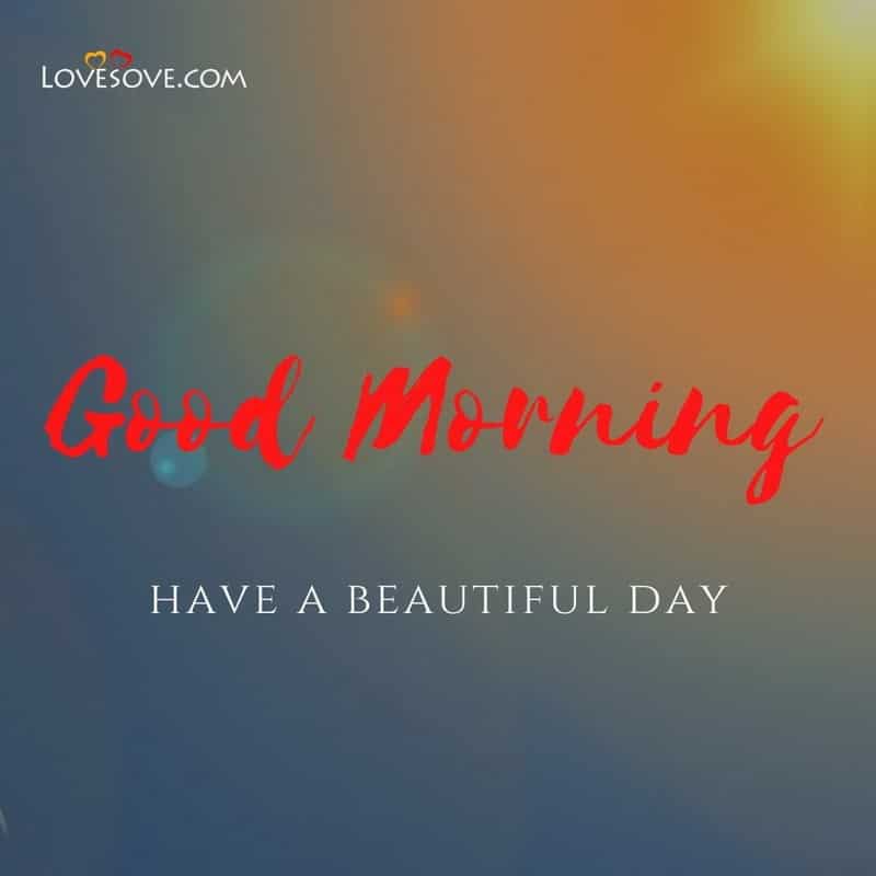 Good Morning have a beautiful day, , good morning have a nice day lovesove