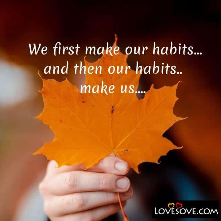We first make our habits