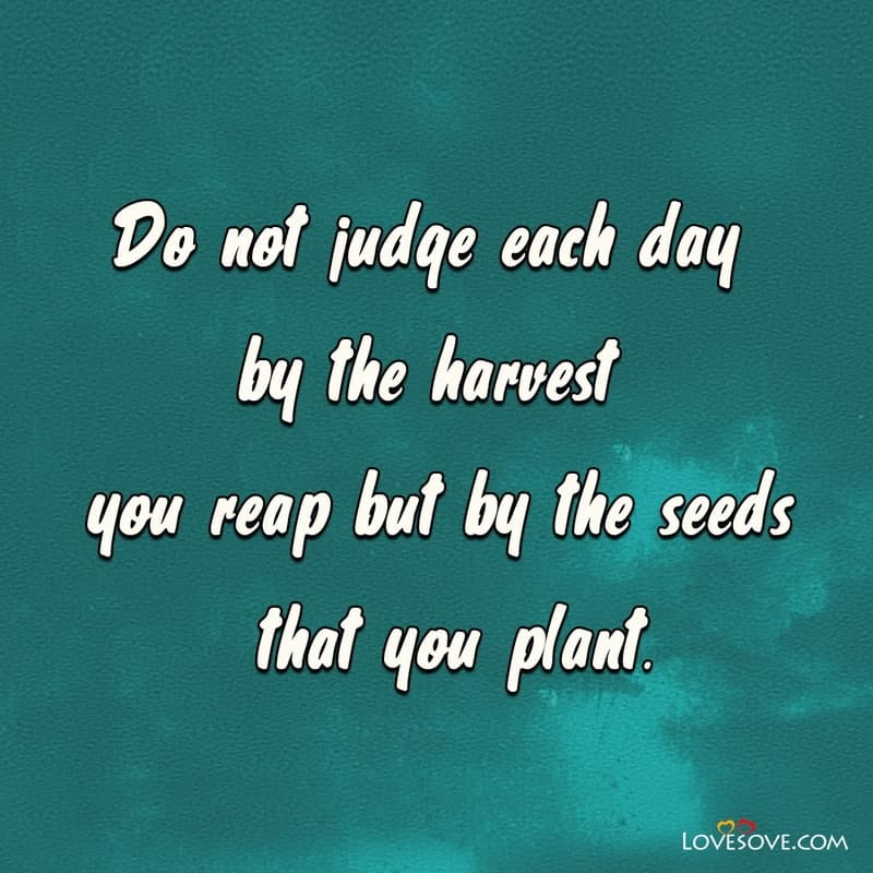 Do not judge each day by the harvest you