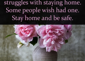 best stay home stay safe quotes, status, messages & thoughts, stay home stay safe quotes, best stay home stay safe love quotes lovesove