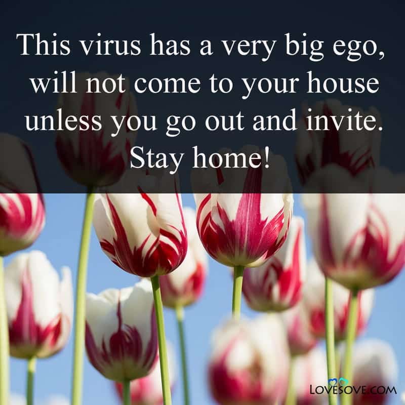 This virus has a very big ego will not come to