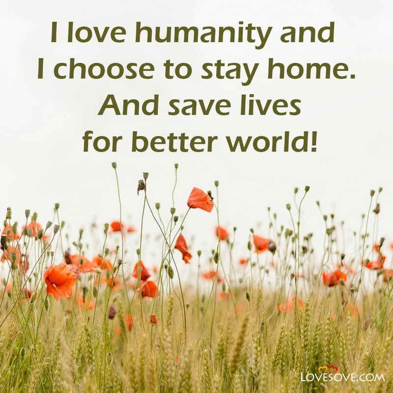 I love humanity and I choose to stay home
