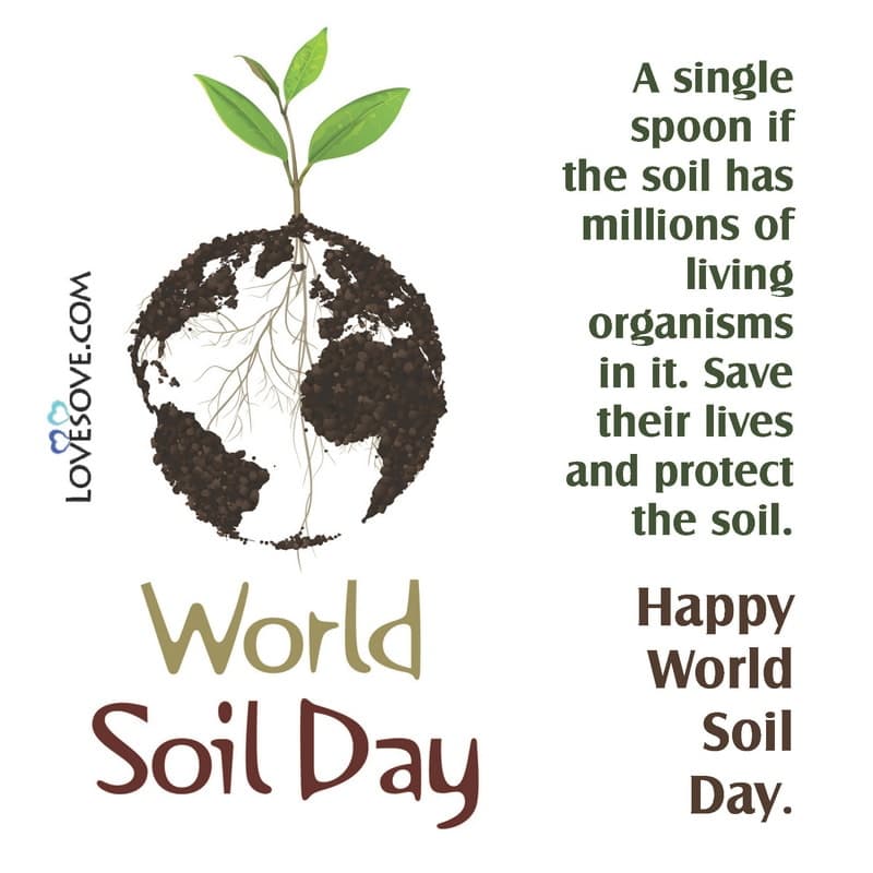 quotes on world soil day, best quotes for world soil day, world soil day quotes in english, world soil day lines, world soil day thoughts,