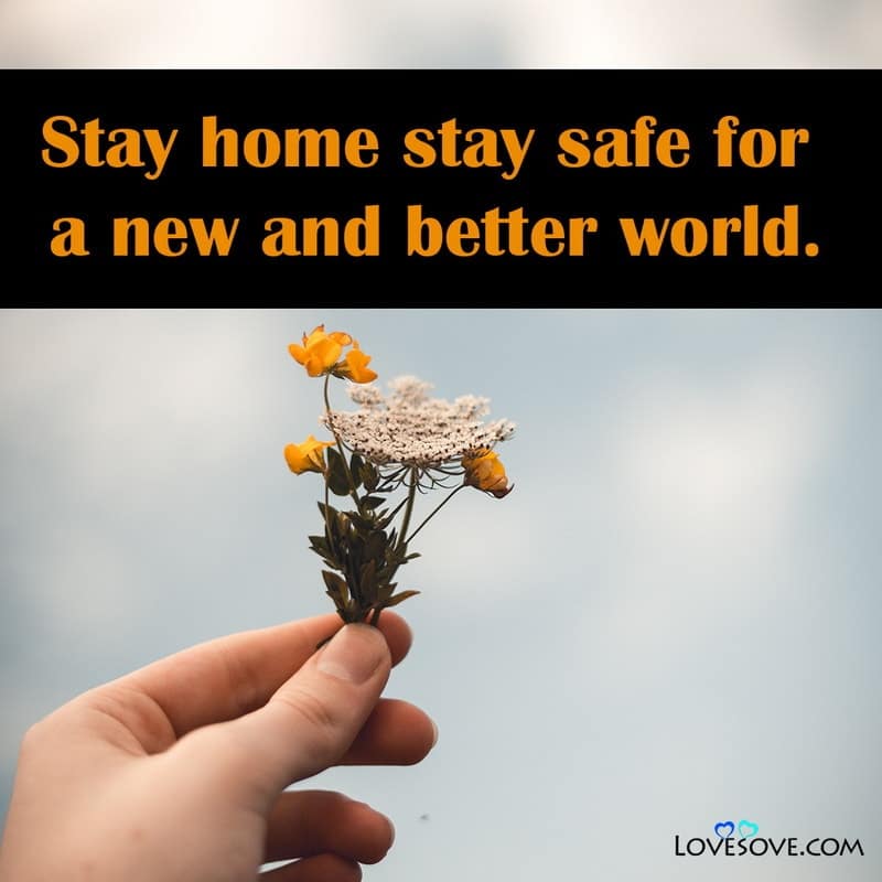 Best Stay Home Stay Safe Quotes, Status, Messages & Thoughts, Stay Home Stay Safe Quotes, stay home stay safe best line lovesove