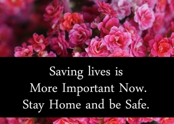 best stay home stay safe quotes, status, messages & thoughts, stay home stay safe quotes, stay home stay safe status lovesove